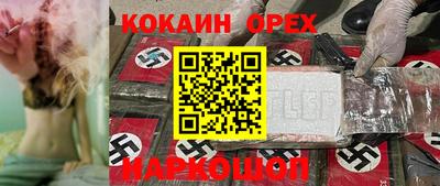 гидропоника Пенза