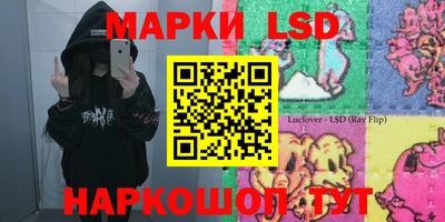 гидропоника Пенза