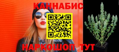 гидропоника Пенза