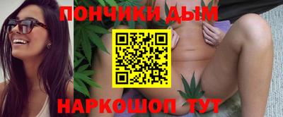 гидропоника Пенза